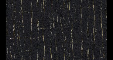 Dutch Wallcoverings Yudashkin 5 10X1,06M - Zwart/Goud