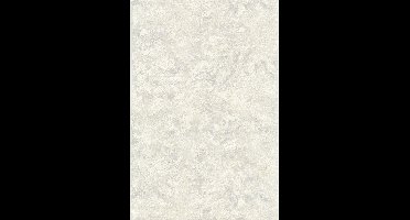 Dutch FC Fusione- 53cmx10m - 73505