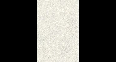 Dutch FC Fusione- 53cmx10m - 73525