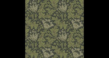 Dutch Wallcoverings Hidden Treasures - Anemone Grn/Zwart