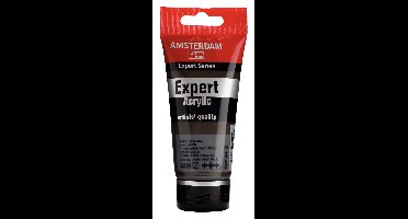 Royal Talens Amsterdam Expert Series Acrylverf Tube 75 ml - Omber Naturel 408