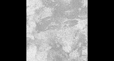 Noordwand Concrete CirÃ© Fotobehang Absolute Concrete - 330631