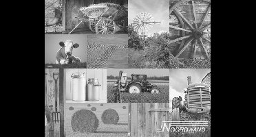 Noordwand Farmlife Fotobehang zwart-wit boerderijfoto's - 3750002