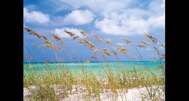 Noordwand Komar Colours Fotobehang Ocean Breeze - 8-515