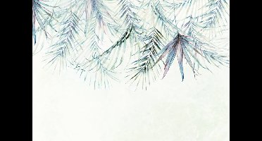 Noordwand Komar Colours Fotobehang Palm Spring - X7-1097