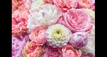 Noordwand Komar Colours Fotobehang Vibrant Spring - 8-335