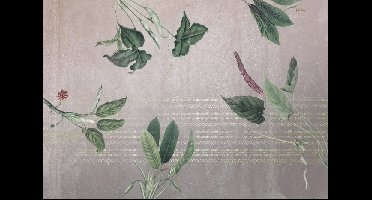 Noordwand Komar Ink Fotobehang Tropic Concrete - INX8-050