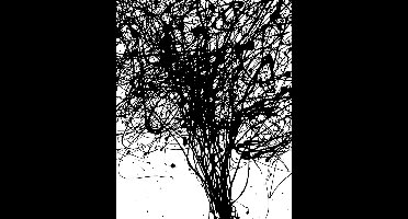 Noordwand Komar Munich Design Fotobehang Curls - V4-758