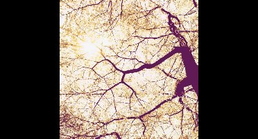 Noordwand Komar Munich Design Fotobehang Sunshine - V5-752