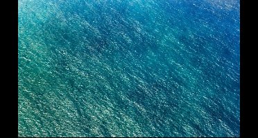 Noordwand Komar Pure Fotobehang Blaupause - PSH096-VD4