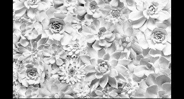 Noordwand Komar Pure Fotobehang Shades Black & White - P962-VD4