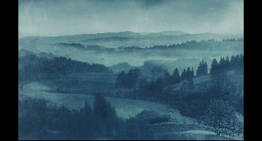 Noordwand Komar Pure Fotobehang Twilight - P010-VD4