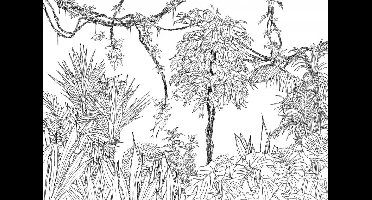 Noordwand Komar Raw Fotobehang Blanca - R4-046