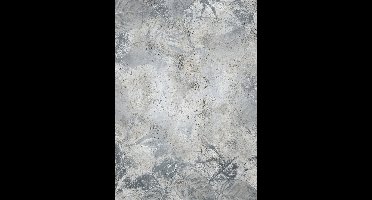 Noordwand Komar Raw Fotobehang Flower Fossil - RSX4-020