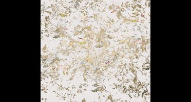 Noordwand Komar Raw Fotobehang Golden Feathers - RSX6-038