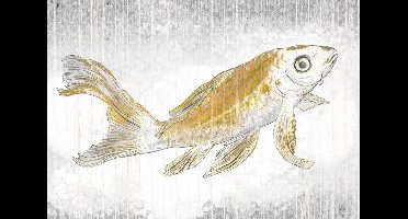 Noordwand Komar Raw Fotobehang Golden Koi - RSX8-049