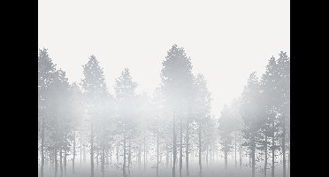 Noordwand Komar Raw Fotobehang Silver Haze - RSX8-055