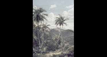 Noordwand Komar Raw Fotobehang The Exotic Land - R2-006