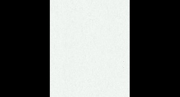 Marburg Ritus Behang met lichte betonstructuur - 35524