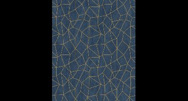 Galerie Special FX 2 Behang met grafisch metallic dessin - G68082