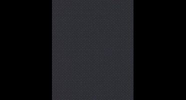 Marburg The New Amsterdam Book Behang glanzend met steentjes - 76838