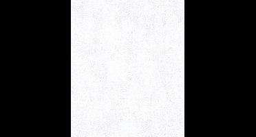 Marburg TopChic 2023-2025; City Glow; The New Textures Book Behang met beton structuur - 32611