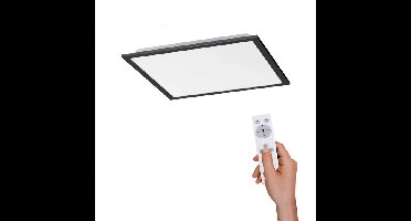 Paul Neuhaus Plafondlamp Flat 46 x 46 cm zwart