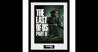 GB eye THE LAST OF US PART II - Framed print "Ellie"