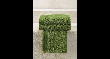 De Witte Lietaer De Witte Lietaer gastendoek Excellence 40x60 cactus