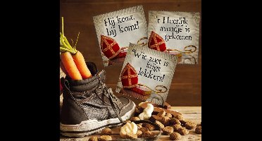 Condoom Anoniem 3 Sinterklaas Condooms Ondeugende Surprise