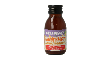 Damhert Energy shot gember bio 75 Milliliter