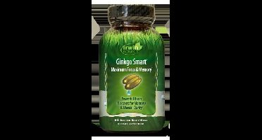 Irwin Naturals Ginkgo smart 60 Softgels