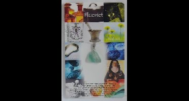 Steengoed Hanger gezondheidssteen fluoriet 1 Stuks