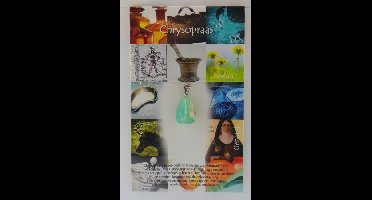 Steengoed Hanger gezondheidssteen chrysopraas 1 Stuks