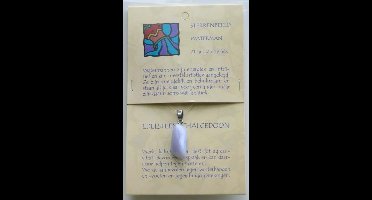 Steengoed Sterrenbeeldsteen hanger waterman 1 Stuks