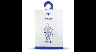 Green Tree Geurzakje Indian summer 10 Gram