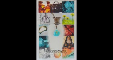 Steengoed Hanger gezondheidssteen turkoois 1 Stuks