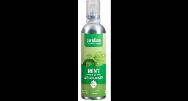 Purasana Frishi luchtverfrisser mint 100 Milliliter