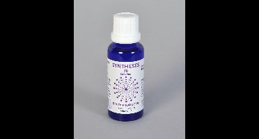 Vita Syntheses 70 spijsvertering enzym 30 Milliliter