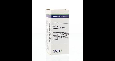 VSM Conium maculatum LM6 4 Gram