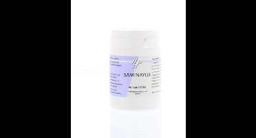 Holisan Saminayur 90 Tabletten