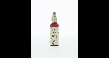 Bach Willow/wilg 20 Milliliter