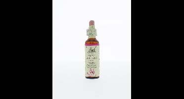 Sweet chestnut/tamme kastanje 20 Milliliter