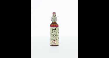 Star of Bethlehem/vogelmelk 20 Milliliter