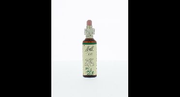 Bach Holly/hulst 20 Milliliter