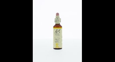 Gorse/gaspeldoorn 20 Milliliter