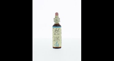 Chicory/cichorei 20 Milliliter