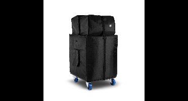 LD Systems DAVE 18 G4X transport set