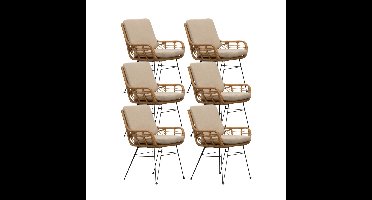 Carlos dining tuinstoel set van 6 | wicker + RVS | Bamboo taupe
