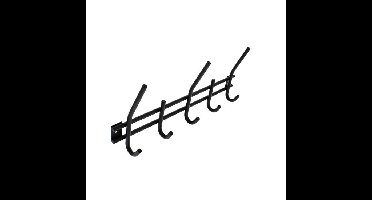 Intersteel Kapstok 5 haken zwart